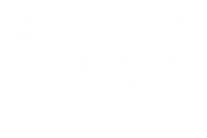 Logo INSS Giải pháp số quốc tế